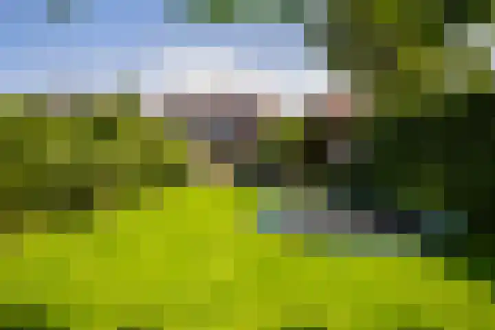 Burgemeester Verkadesingel 16 Vlaardingen thumbnail 34