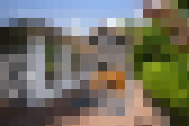 Burgemeester Verkadesingel 16 Vlaardingen thumbnail 37
