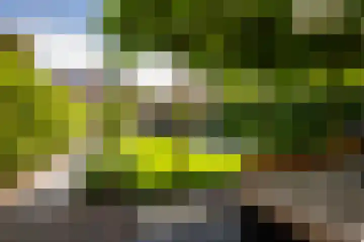 Burgemeester Verkadesingel 16 Vlaardingen thumbnail 4