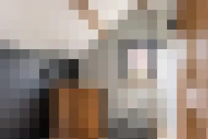 Burgemeester Verkadesingel 16 Vlaardingen thumbnail 54