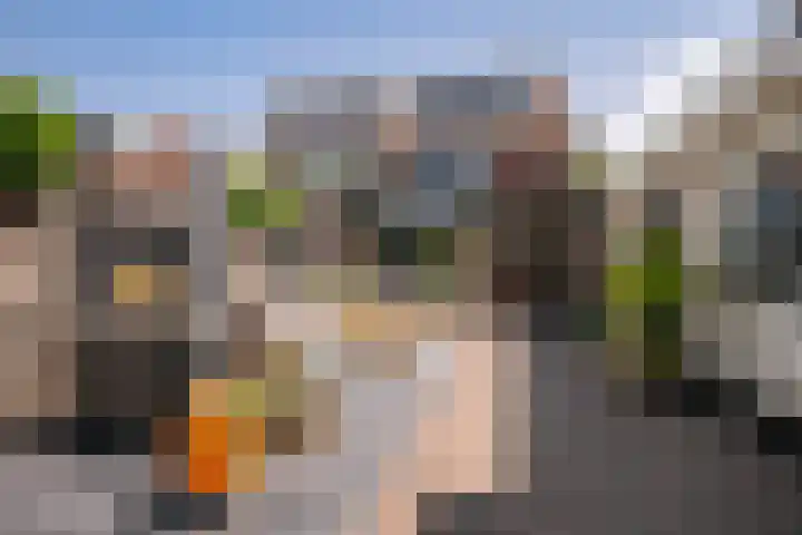 Burgemeester Verkadesingel 16 Vlaardingen thumbnail 6