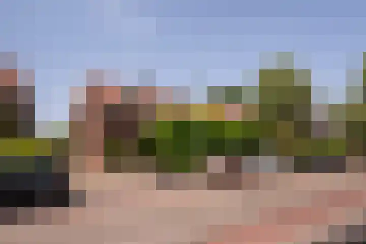Burgemeester Verkadesingel 16 Vlaardingen thumbnail 7