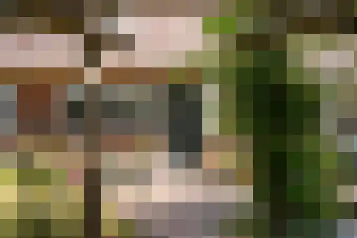 Burgemeester Verkadesingel 51 Vlaardingen thumbnail 10
