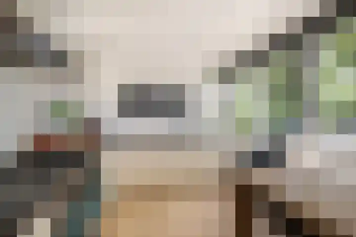 Burgemeester Verkadesingel 51 Vlaardingen thumbnail 19