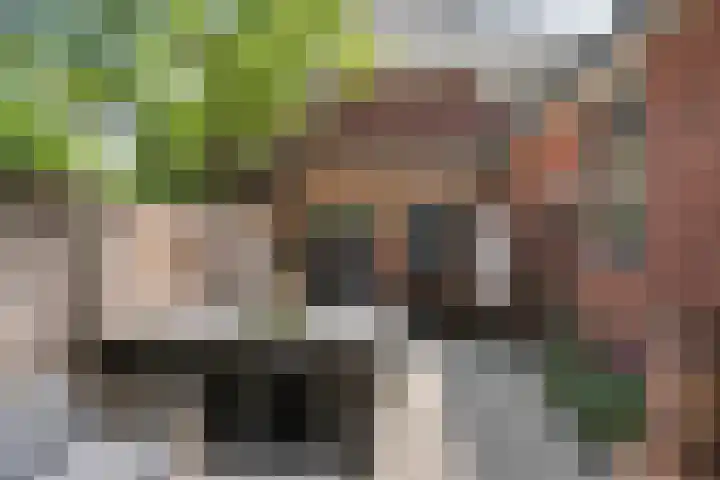 Burgemeester Verkadesingel 51 Vlaardingen thumbnail 30