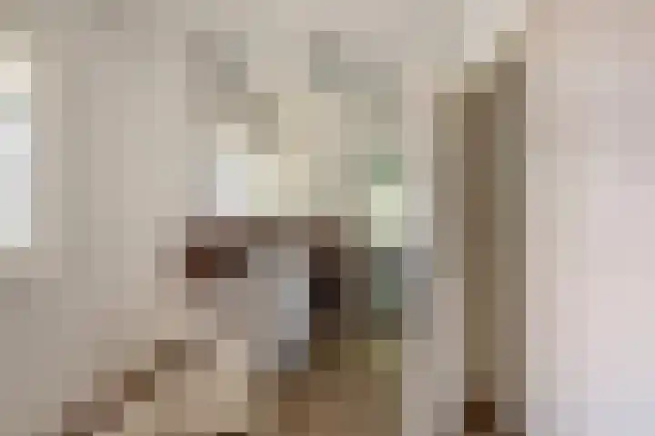 Burgemeester Verkadesingel 51 Vlaardingen thumbnail 31