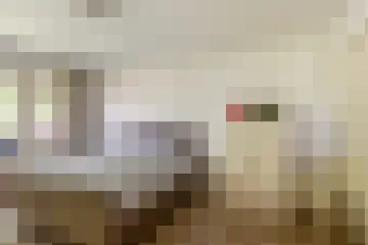 Burgemeester Verkadesingel 51 Vlaardingen thumbnail 33