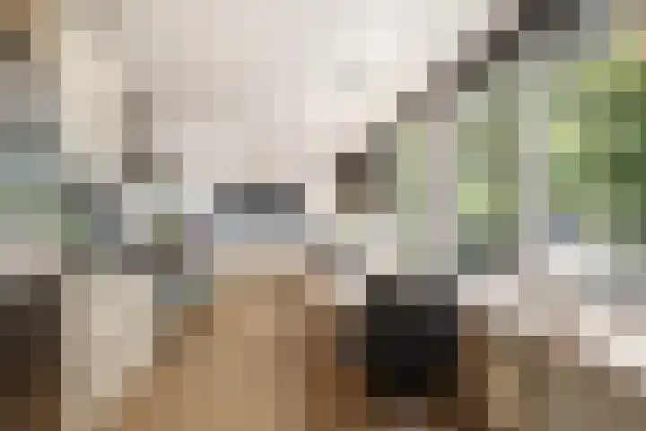 Burgemeester Verkadesingel 51 Vlaardingen thumbnail 4