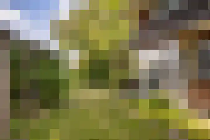 Burgemeester Verkadesingel 51 Vlaardingen thumbnail 58