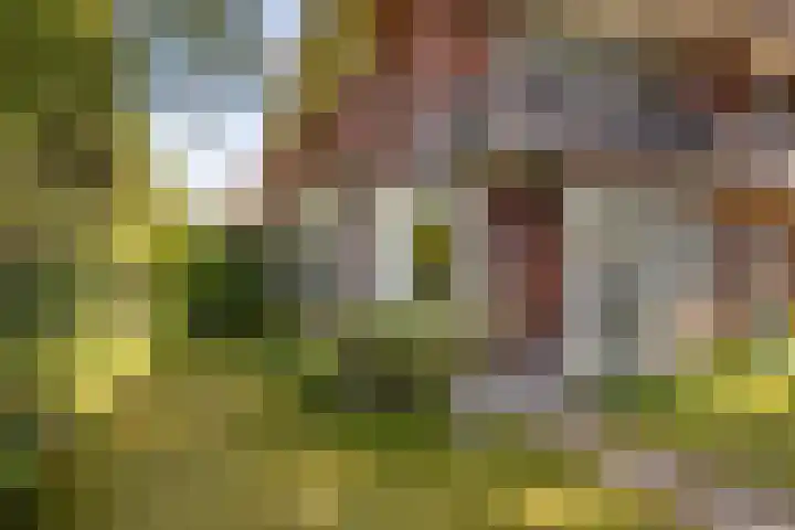 Burgemeester Verkadesingel 51 Vlaardingen thumbnail 61