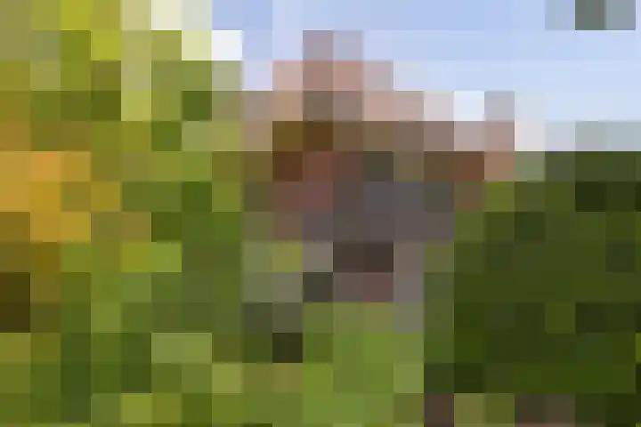 Burgemeester Verkadesingel 51 Vlaardingen thumbnail 62