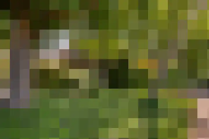 Burgemeester Verkadesingel 51 Vlaardingen thumbnail 7