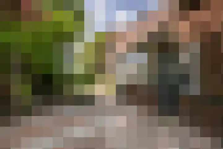 Burgemeester Verkadesingel 51 Vlaardingen thumbnail 8
