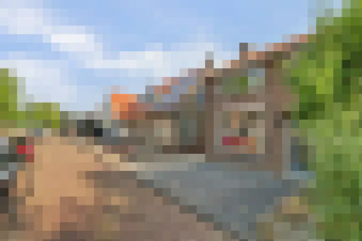 Burgemeester Vermetstraat 6 Lewedorp thumbnail 4