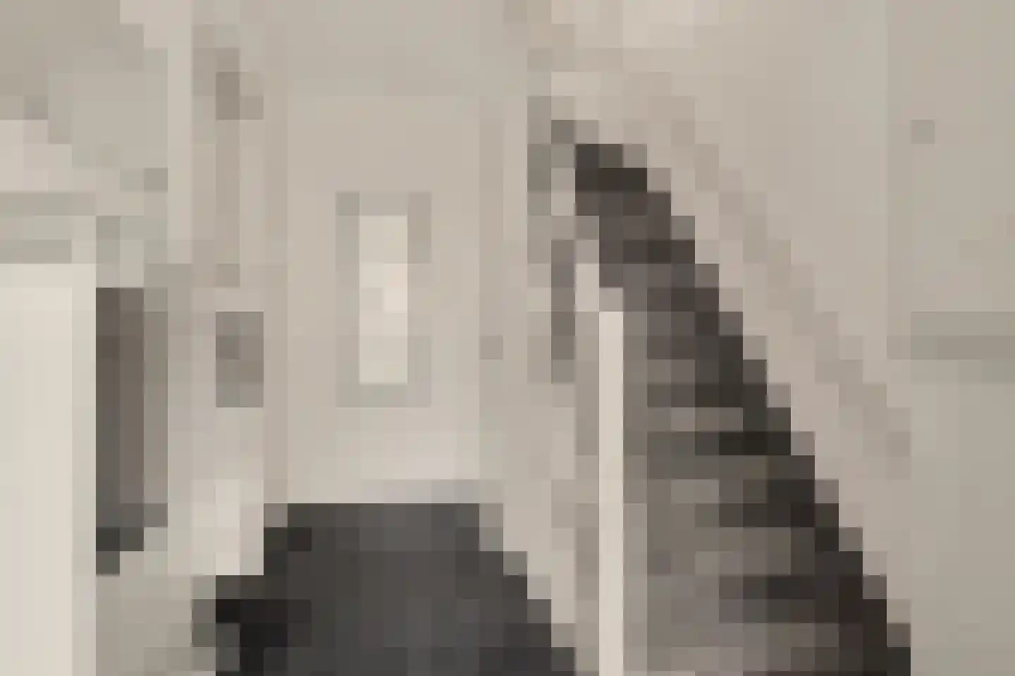 Burgemeester Vermetstraat 6 Lewedorp thumbnail 8