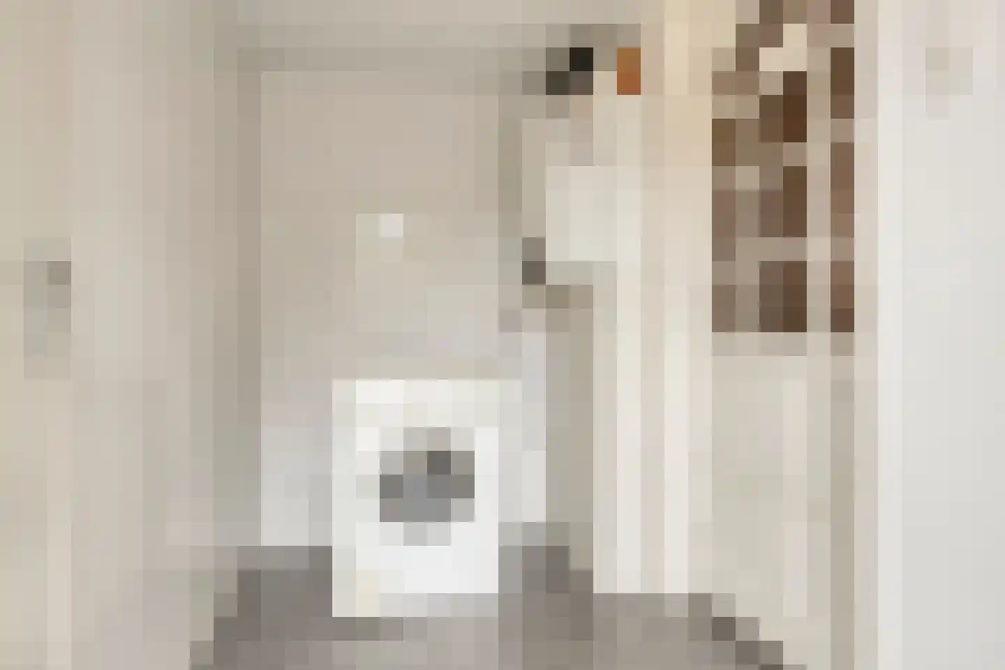 Burgemeester Vermetstraat 9 Lewedorp thumbnail 19