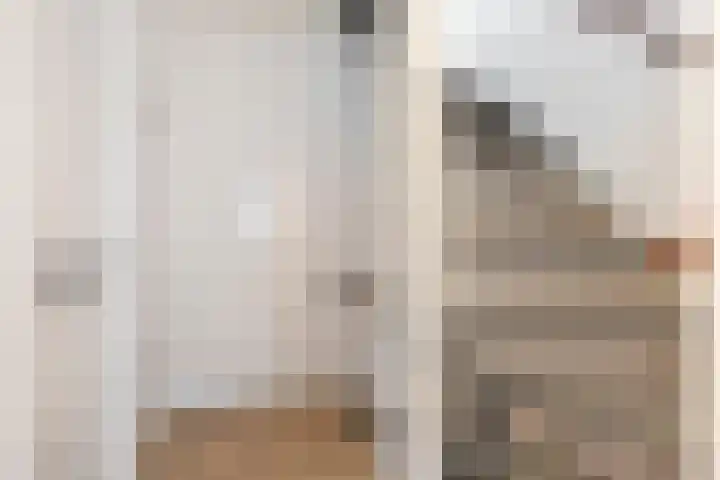 Burgemeester Vermeulenstraat 17 Breda thumbnail 25
