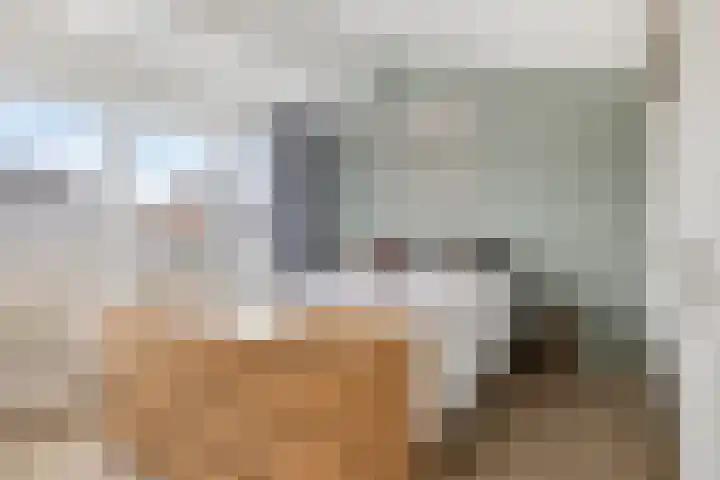 Burgemeester Vermeulenstraat 17 Breda thumbnail 37