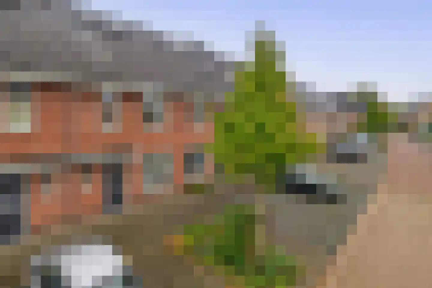 Burgemeester Vermeulenstraat 20 Breda thumbnail 45