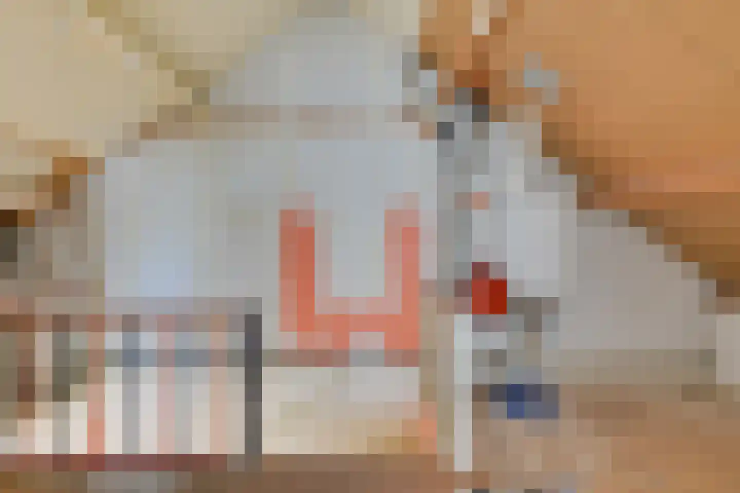 Burgemeester Verstegenstraat 44 Westzaan thumbnail 18