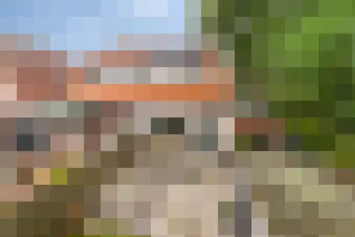 Burgemeester Verveenstraat 14 Schiedam thumbnail 24