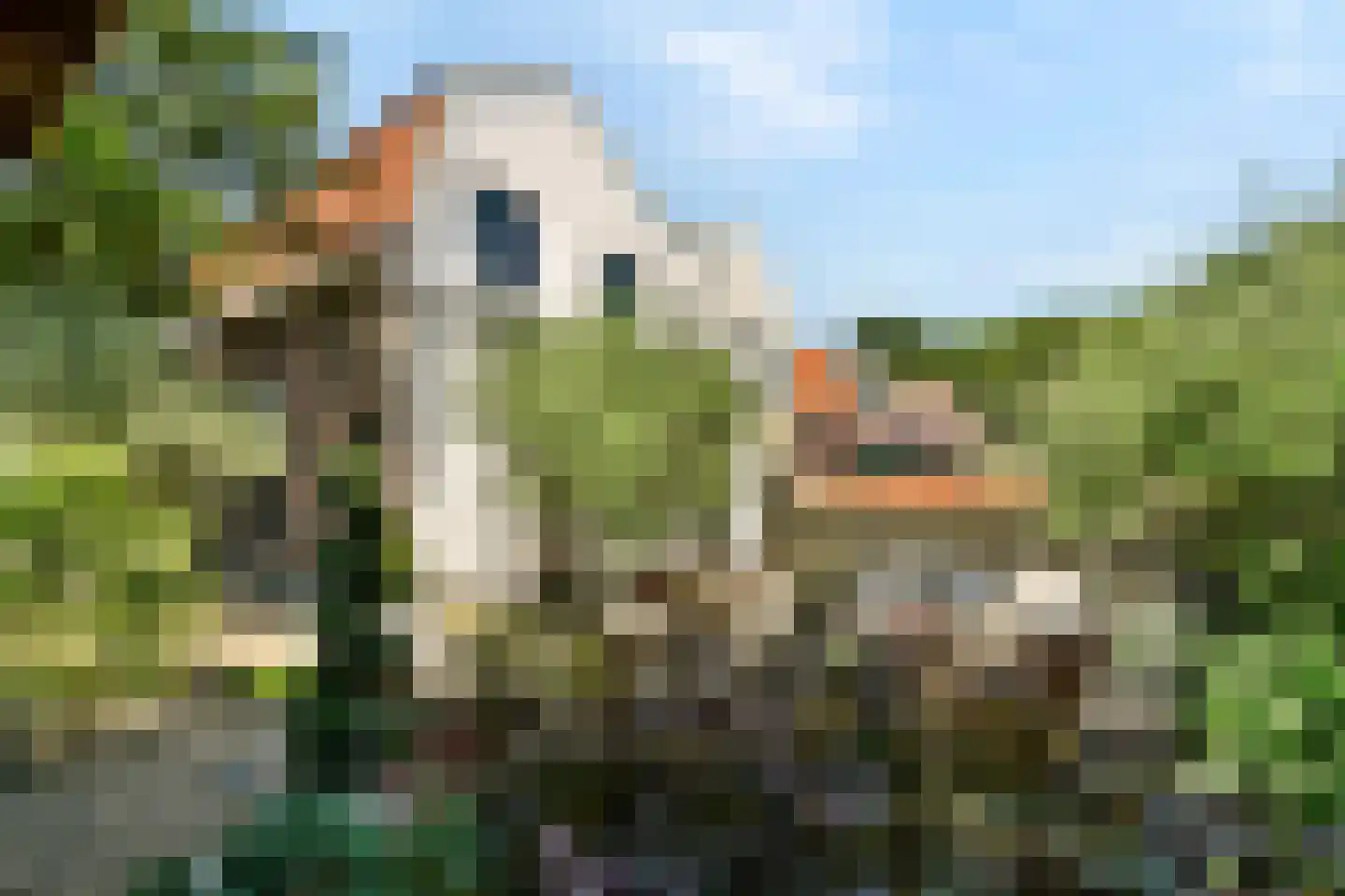 Burgemeester Verveenstraat 2 Schiedam thumbnail 20