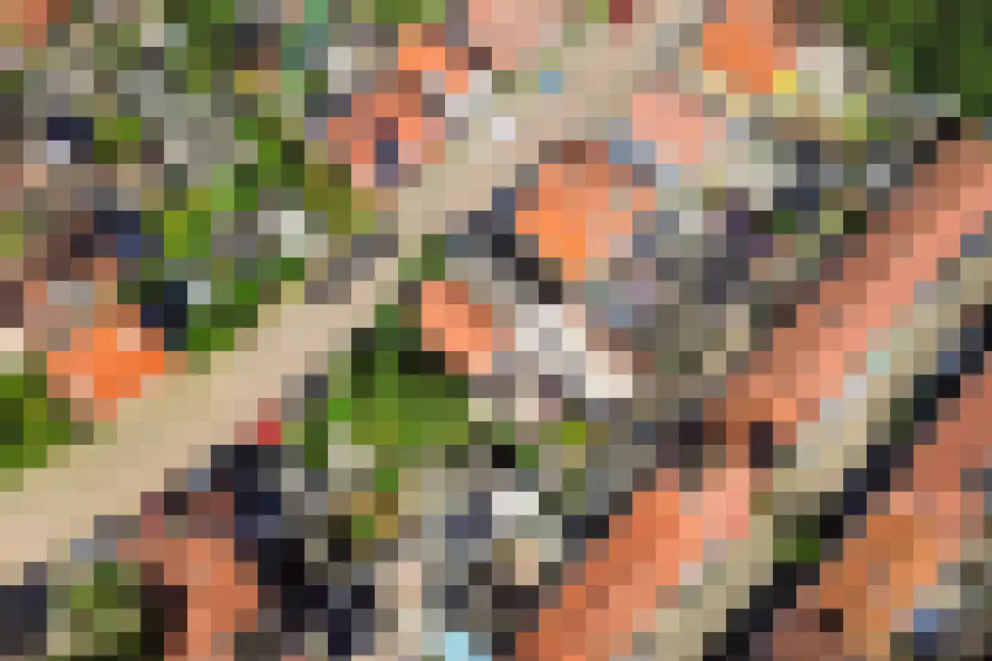Burgemeester Verveenstraat 2 Schiedam thumbnail 33