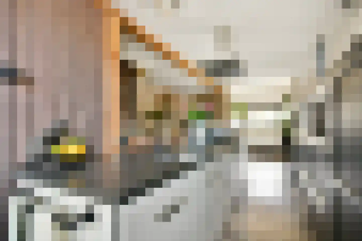 Burgemeester Verveenstraat 2 Schiedam thumbnail 4