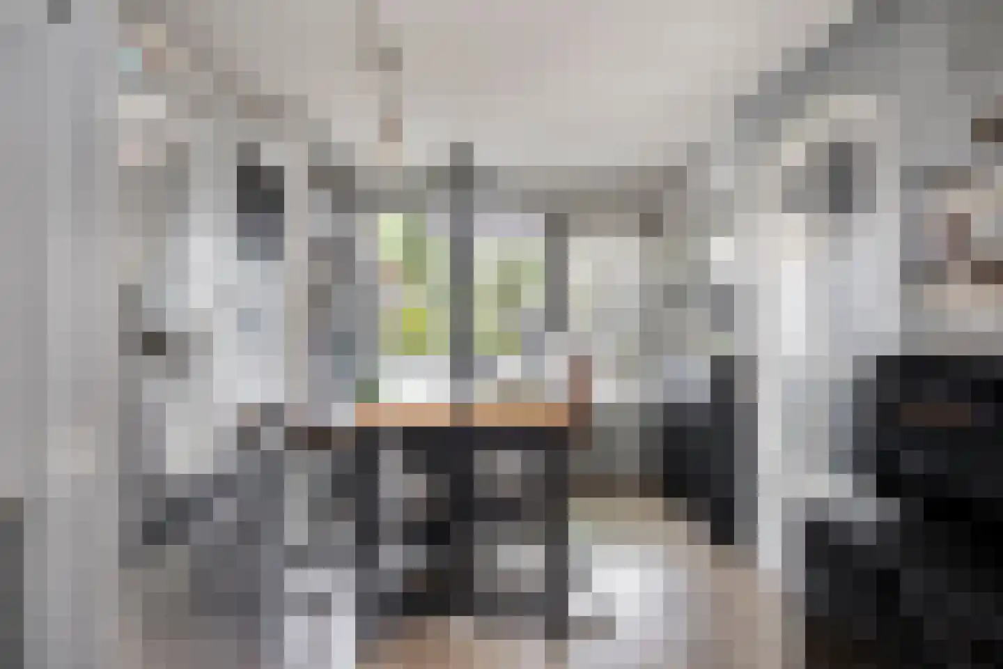 Burgemeester Verweijlaan 20 Geldermalsen thumbnail 10