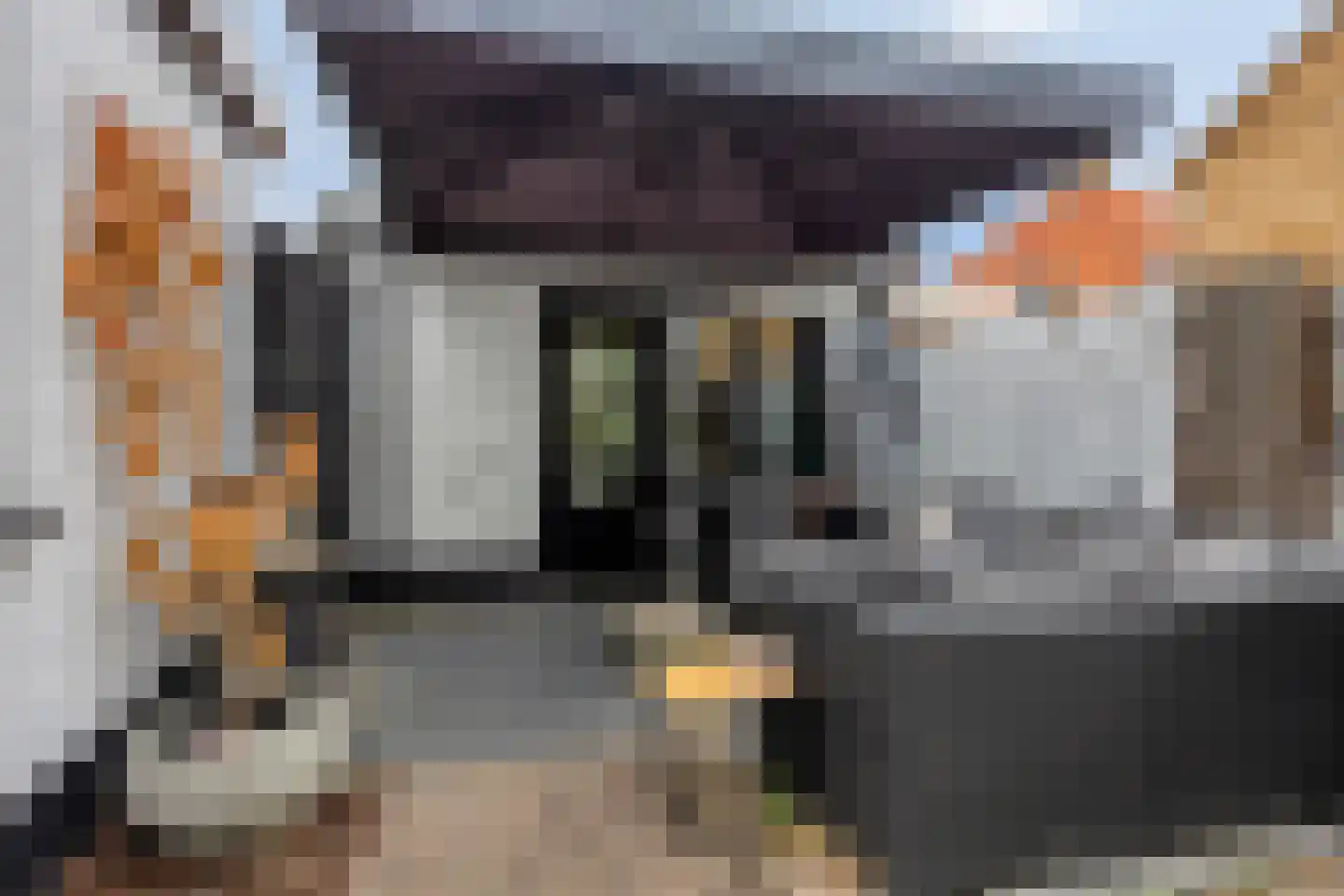 Burgemeester Verweijlaan 20 Geldermalsen thumbnail 27