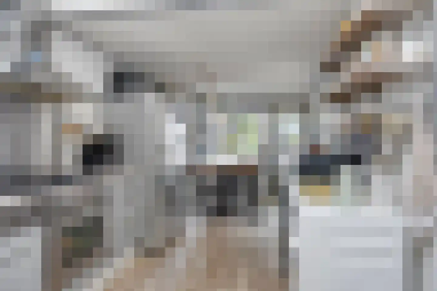 Burgemeester Verweijlaan 20 Geldermalsen thumbnail 9