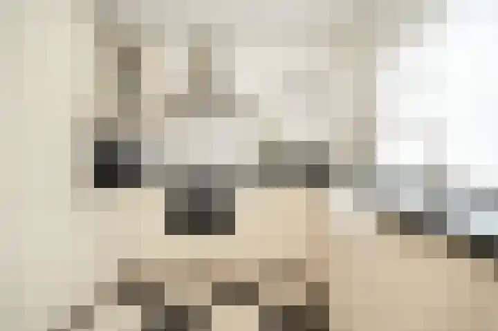 Burgemeester Verweijlaan 44 Geldermalsen thumbnail 7