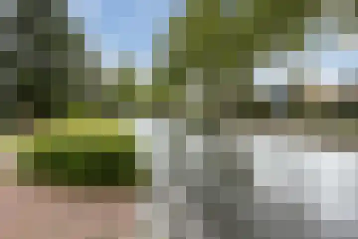 Burgemeester Verwielstraat 2 c 19 Waalwijk thumbnail 19