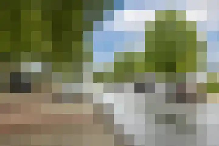 Burgemeester Verwielstraat 2 c 19 Waalwijk thumbnail 21