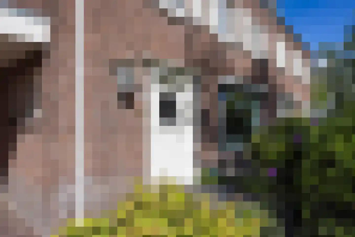 Burgemeester Verwielstraat 6 Waalwijk thumbnail 59