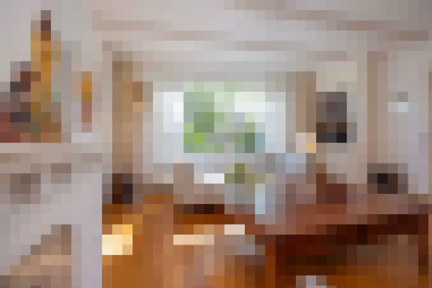 Burgemeester Verwielstraat 6 Waalwijk thumbnail 9