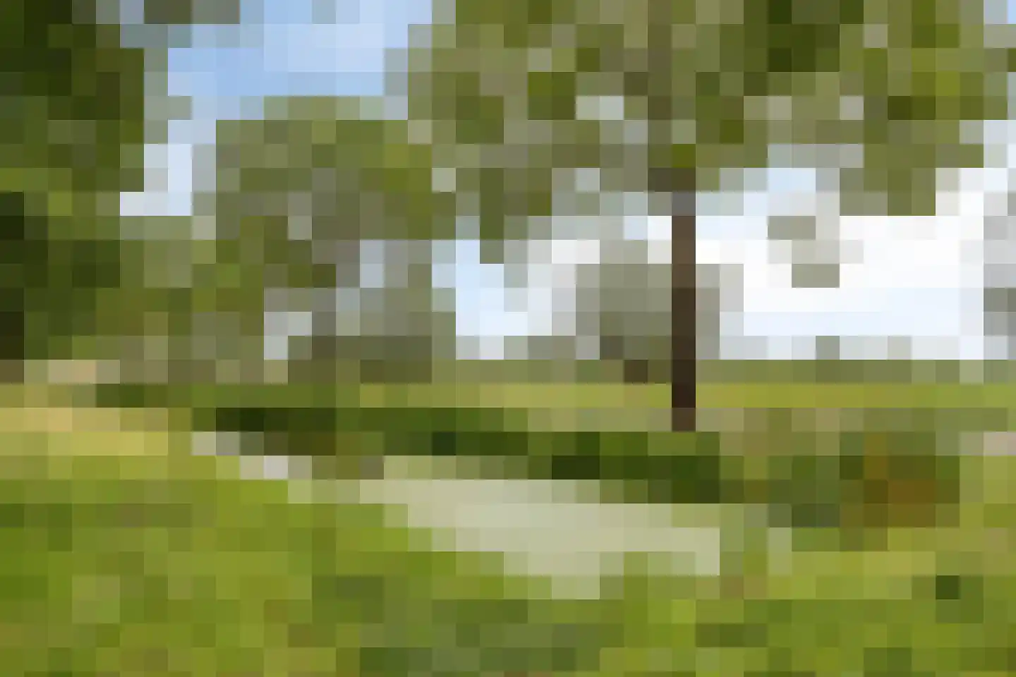 Burgemeester Viezeelaan 14 Streefkerk thumbnail 43