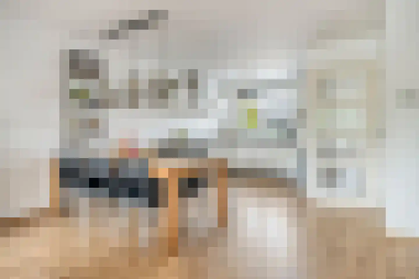 Burgemeester Viezeelaan 14 Streefkerk thumbnail 9