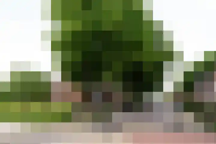 Burgemeester Viezeestraat 1 A Bleskensgraaf ca thumbnail 18