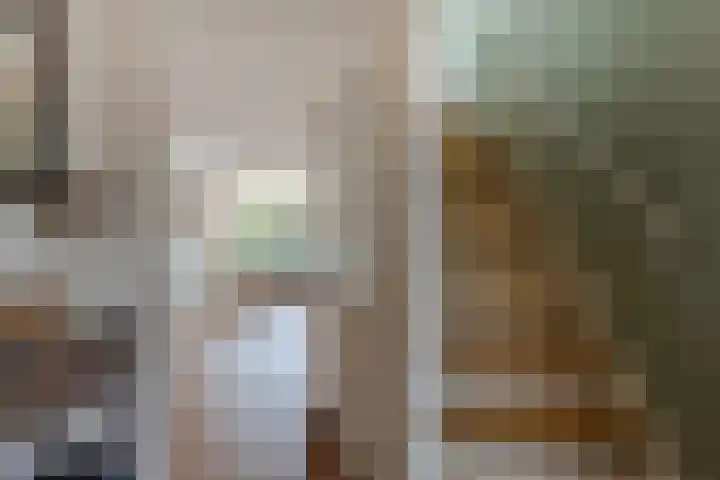 Burgemeester Viezeestraat 7 Bleskensgraaf ca thumbnail 12