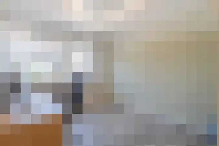 Burgemeester Viezeestraat 7 Bleskensgraaf ca thumbnail 16