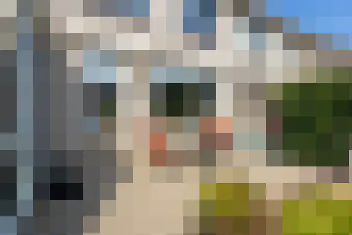 Burgemeester Viezeestraat 7 Bleskensgraaf ca thumbnail 27
