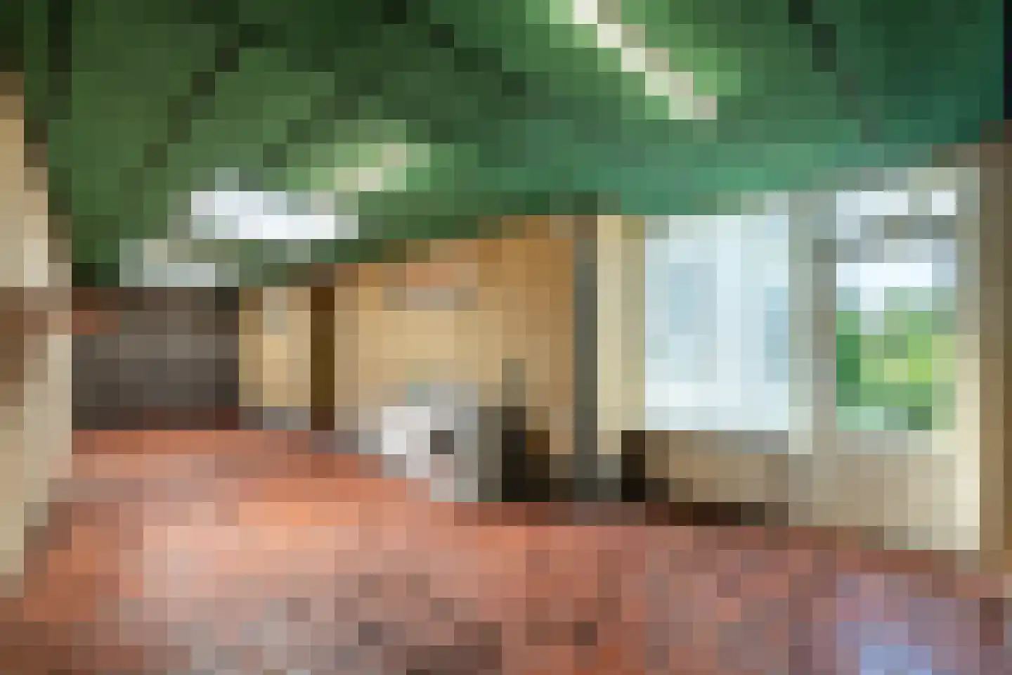 Burgemeester Visschersstraat 103 Ulestraten thumbnail 18