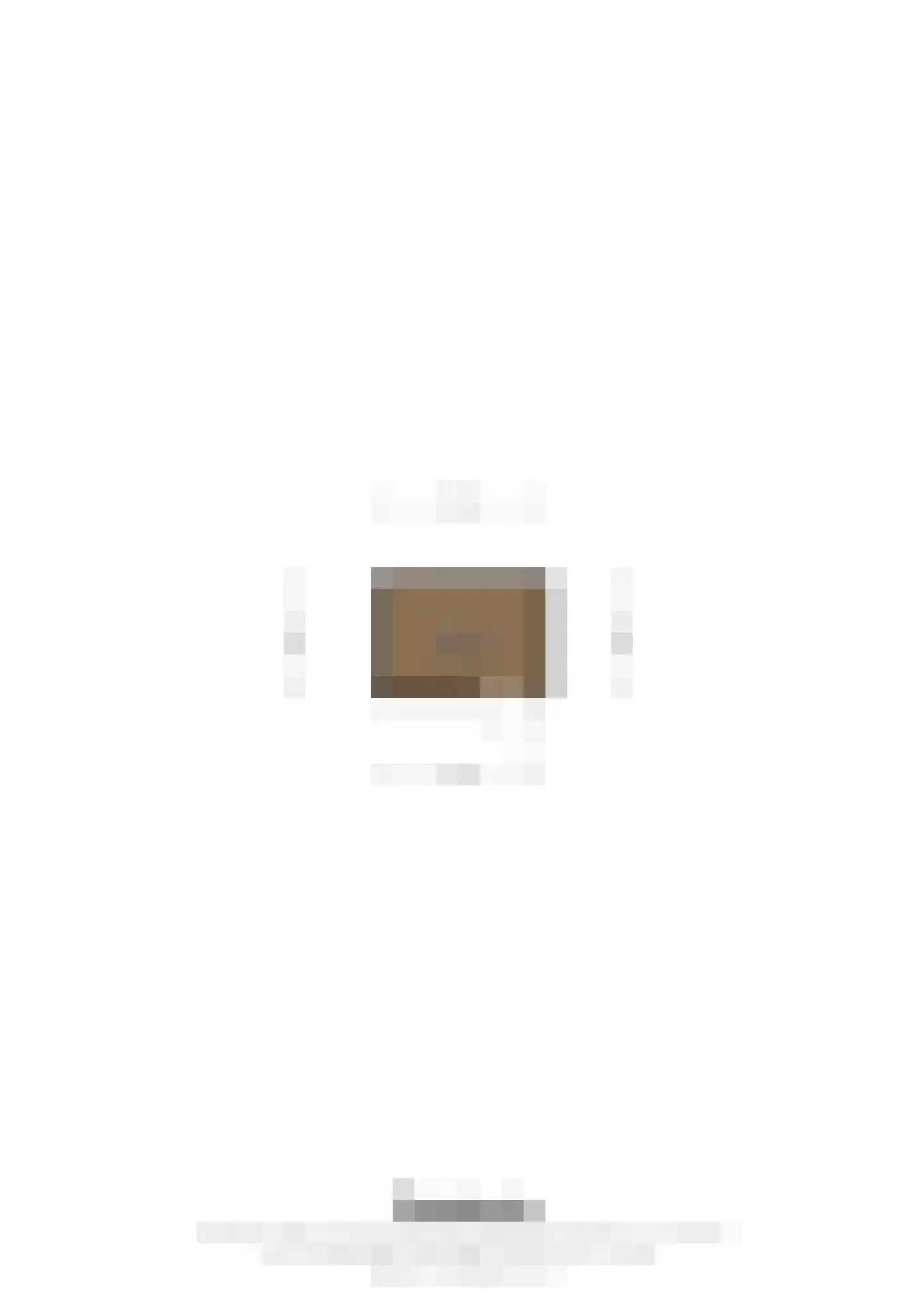 Burgemeester Visschersstraat 107 Ulestraten thumbnail 34