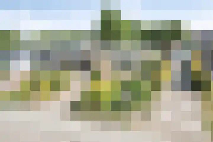 Burgemeester Visschersstraat 3 Ulestraten thumbnail 7