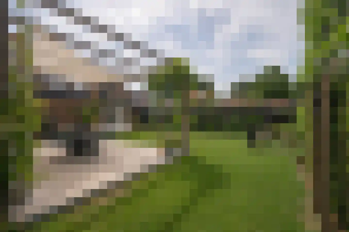 Burgemeester Visschersstraat 48 Ulestraten thumbnail 24