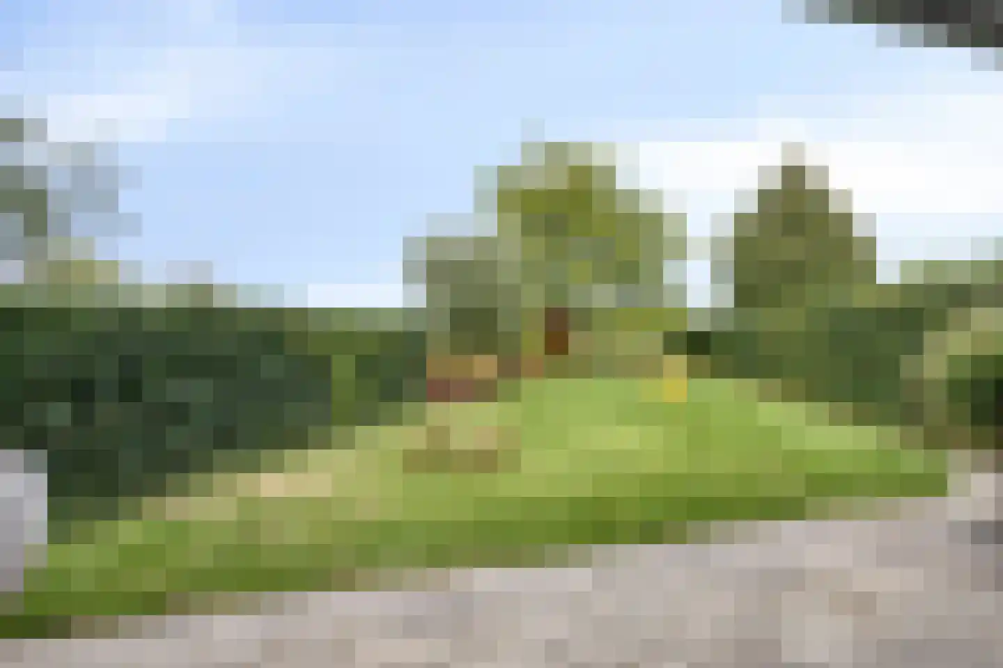 Burgemeester Visschersstraat 81 Ulestraten thumbnail 63
