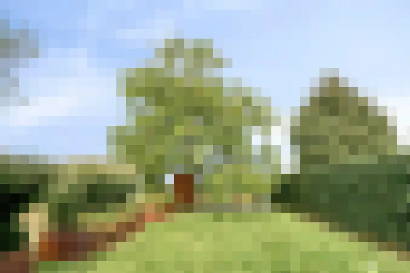 Burgemeester Visschersstraat 81 Ulestraten thumbnail 64