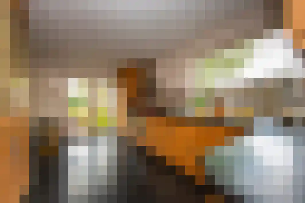 Burgemeester Vissersstraat 12 Tilburg thumbnail 22