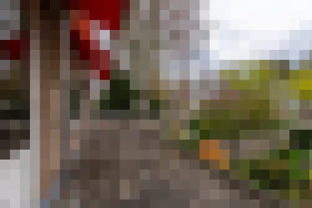 Burgemeester Vissersstraat 12 Tilburg thumbnail 26